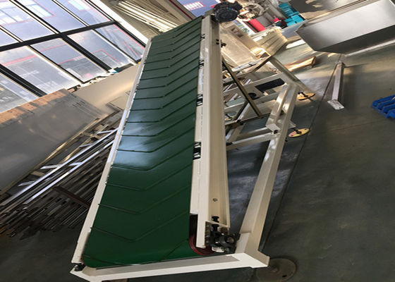 IP65 Palletizing Conveyor