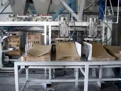 Double Station Auto packing machine